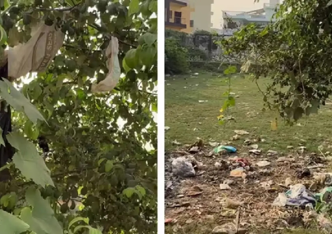 Tree with used diapers hanging found outside home in Varanasi - News Karnataka