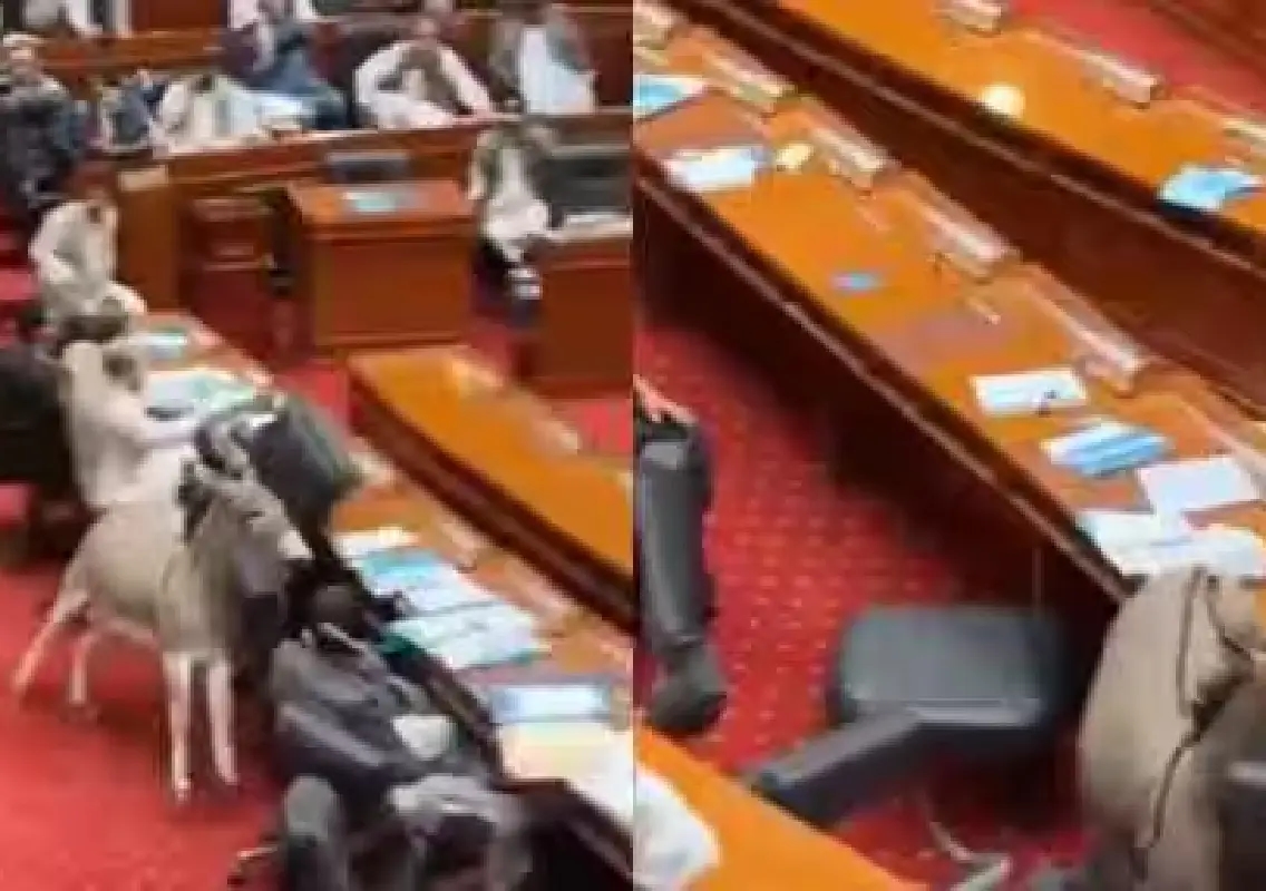 Viral donkey video from Pakistan’s parliament sparks debate over authenticity - News Karnataka
