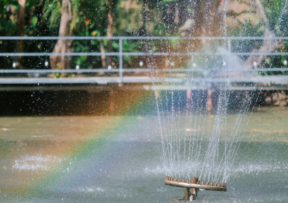 Making Your Garden A Much More Eco-Friendly Endeavor - News Karnataka
