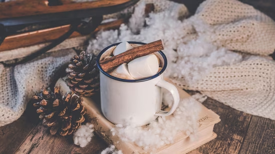 Why experts say a daily cup of hot cocoa can boost brain and body - News Karnataka