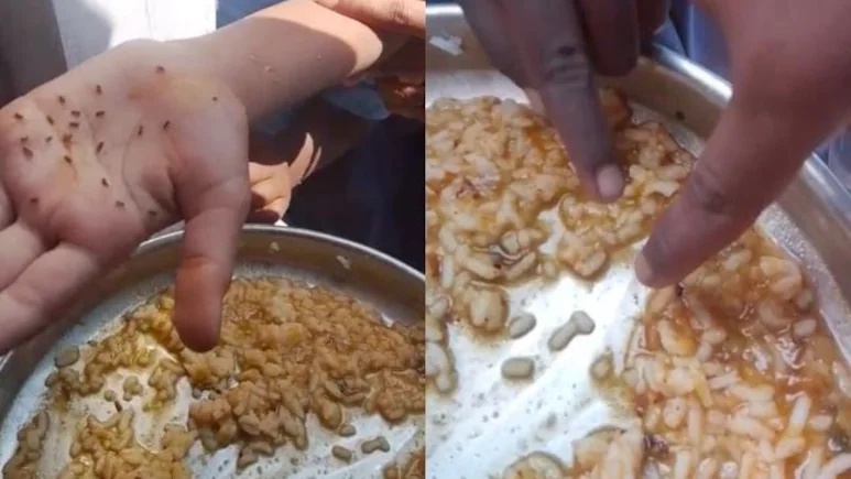 Worms found in midday meal rice at govt school in Koppal - News Karnataka