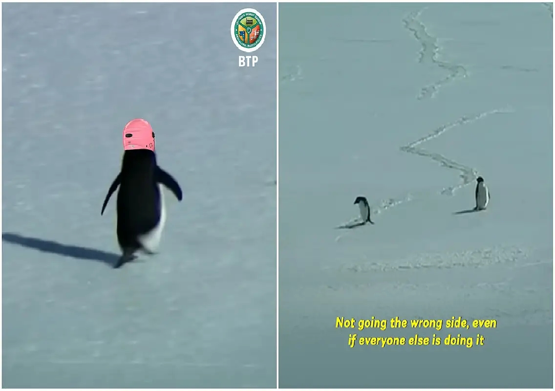 Bengaluru Traffic Police go viral with ‘Nihilist Penguin’ safety message - News Karnataka