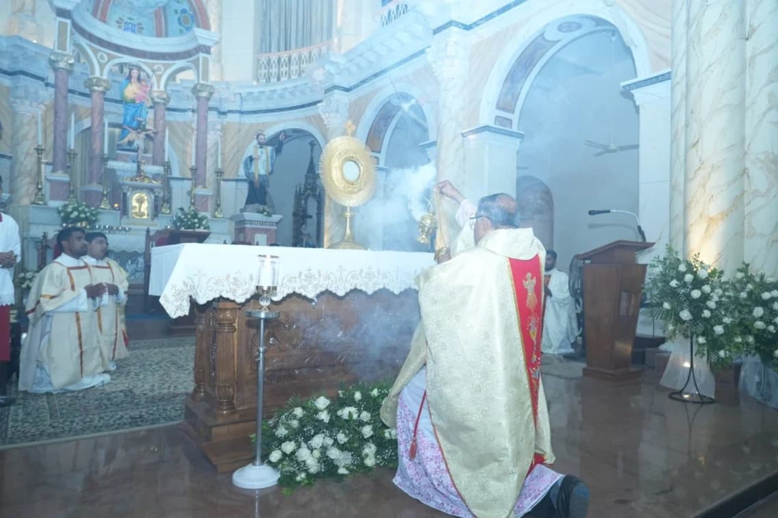 Gallery image 11