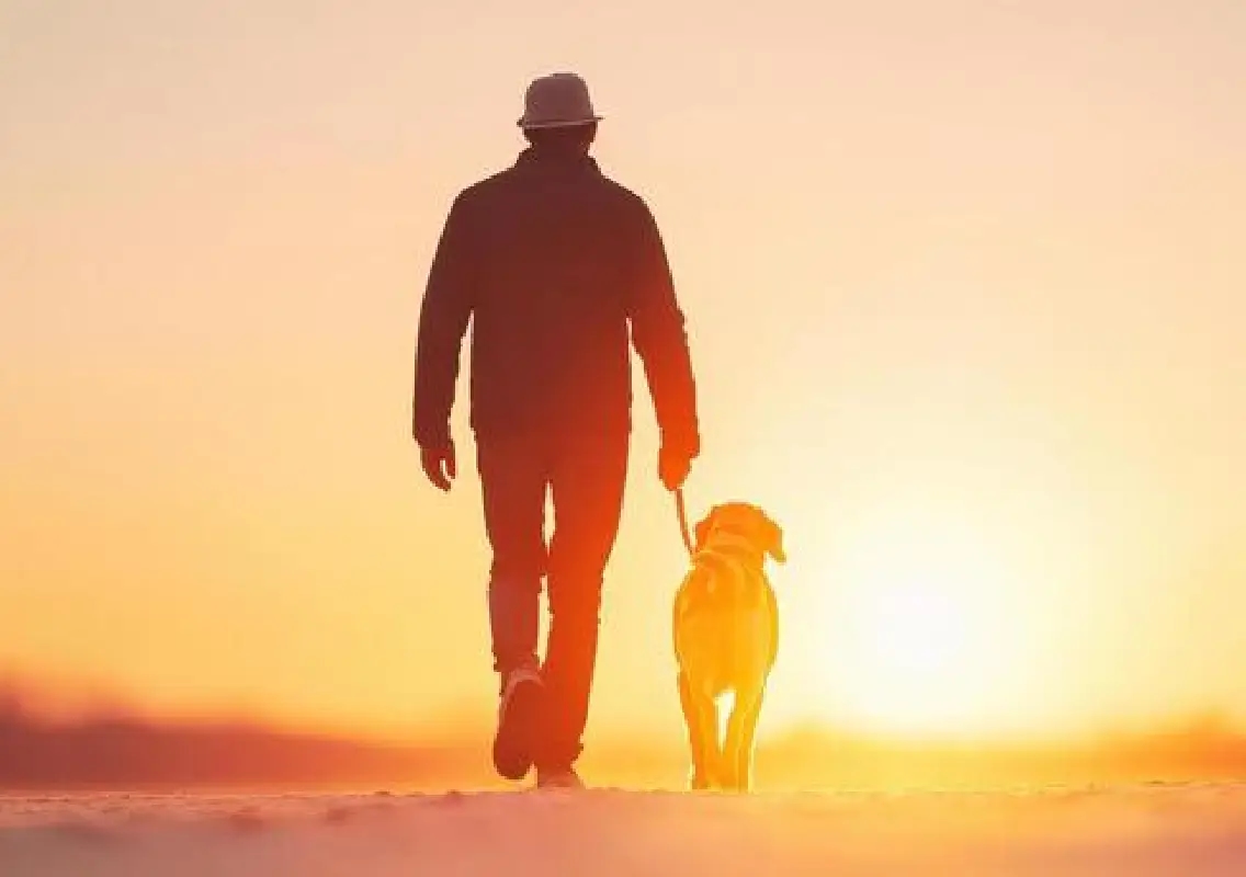 Dad turns kids’ dog demand into life lesson with business pitch - News Karnataka