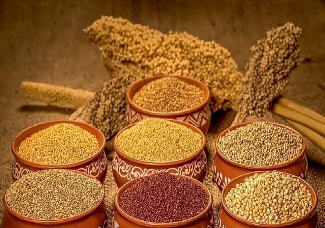District-level millet food contest highlights health and sustainability - News Karnataka