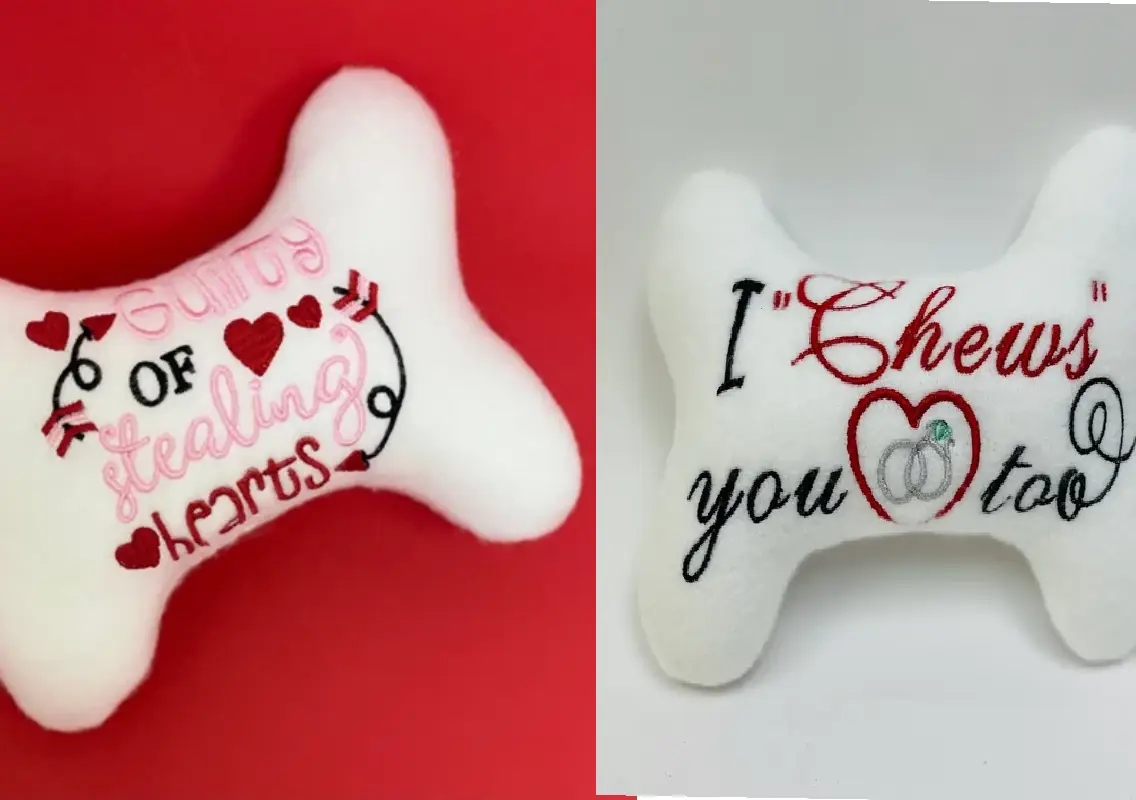 Dog interrupts outfit video, ends up stealing hearts online - News Karnataka