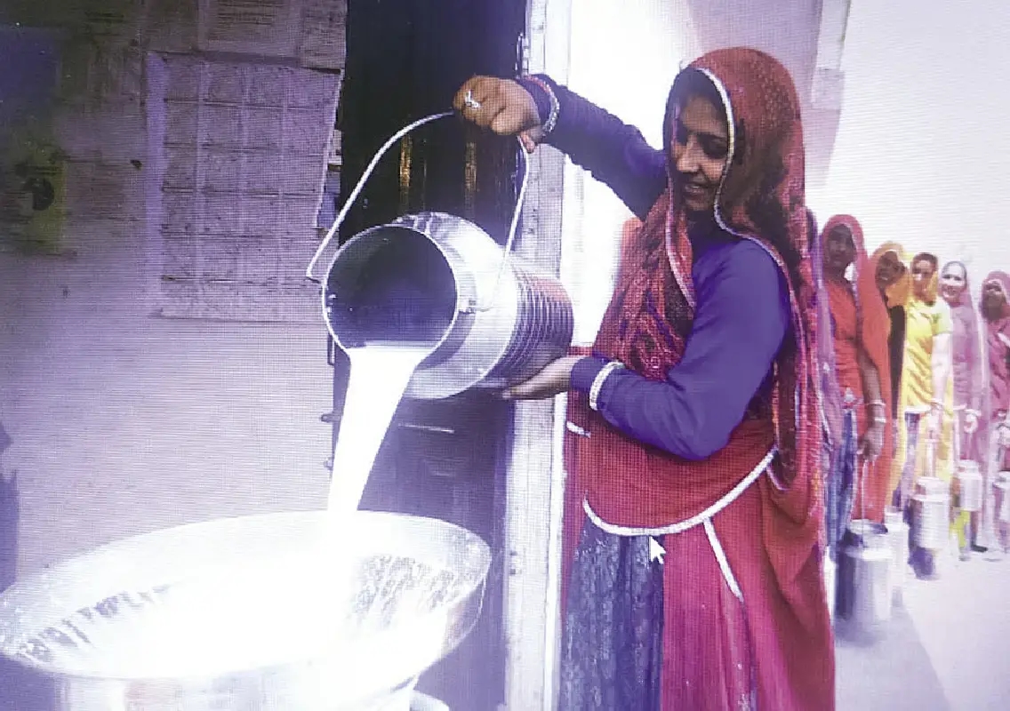 From quake recovery to white revolution: how Kutch rebuilt livelihoods - News Karnataka