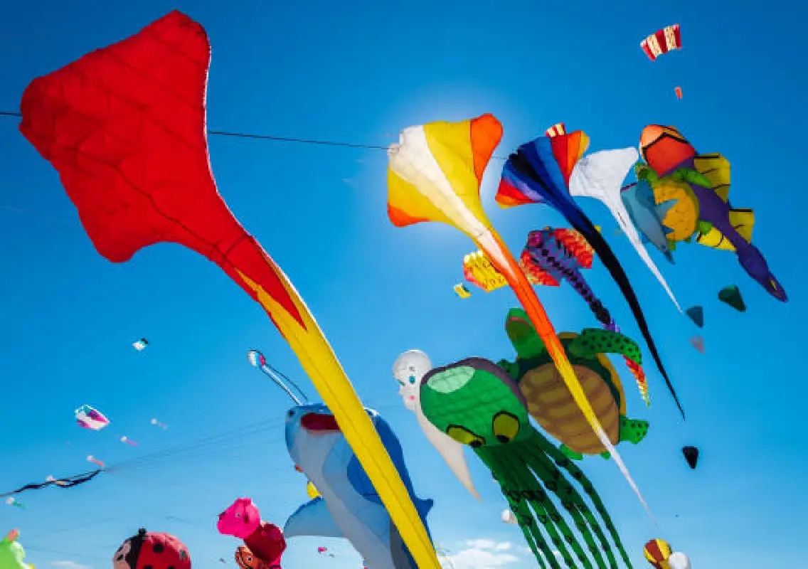 International Kite Festival returns to Tannirbhavi during Karavali Utsava - News Karnataka