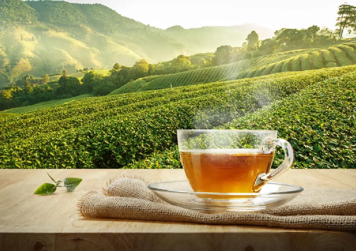 Iran crisis snaps tea trade links, Assam exporters fear major losses - News Karnataka