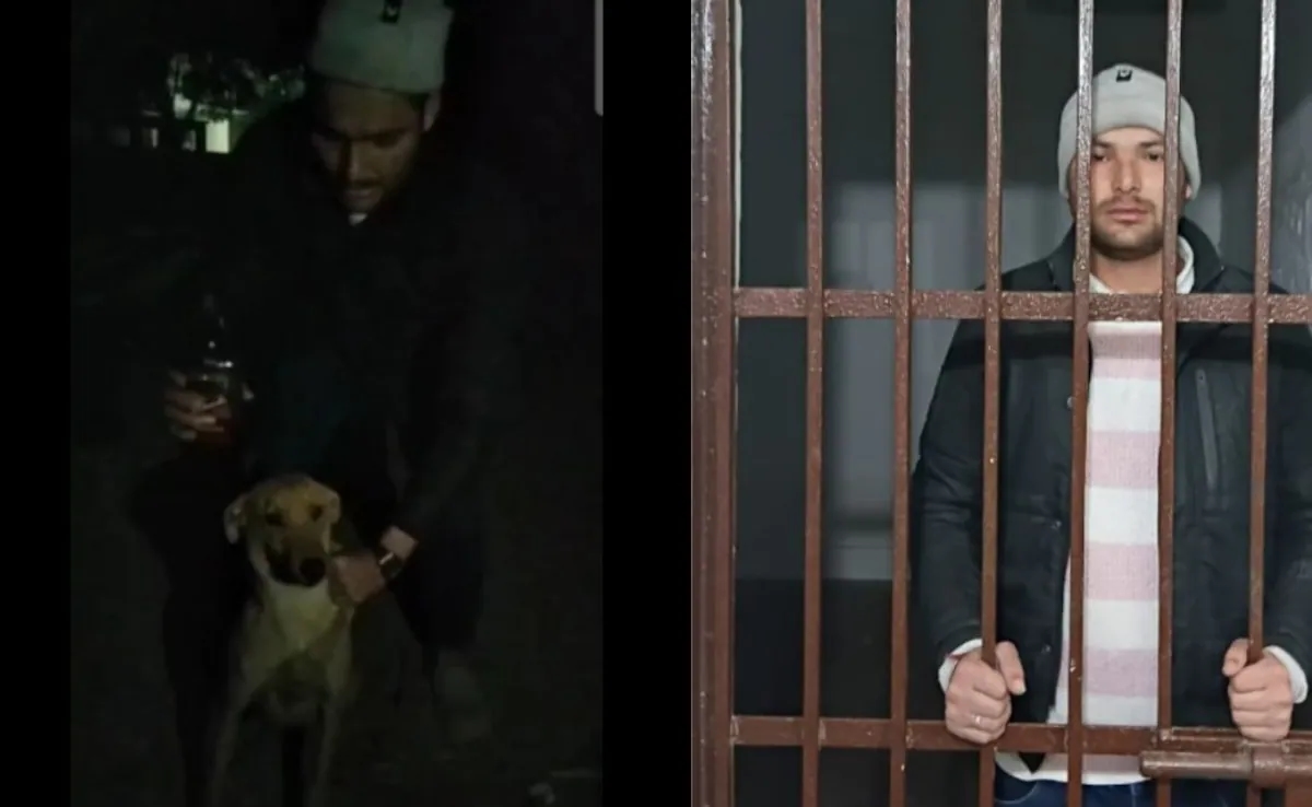Man arrested in Baghpat for forcing dog to drink alcohol, video sparks outrage - News Karnataka
