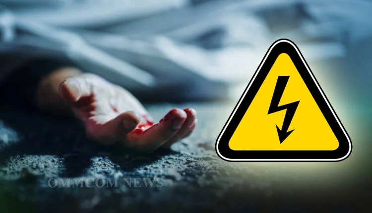 Man dies of electrocution in Bhitarkanika mangrove forest - News Karnataka