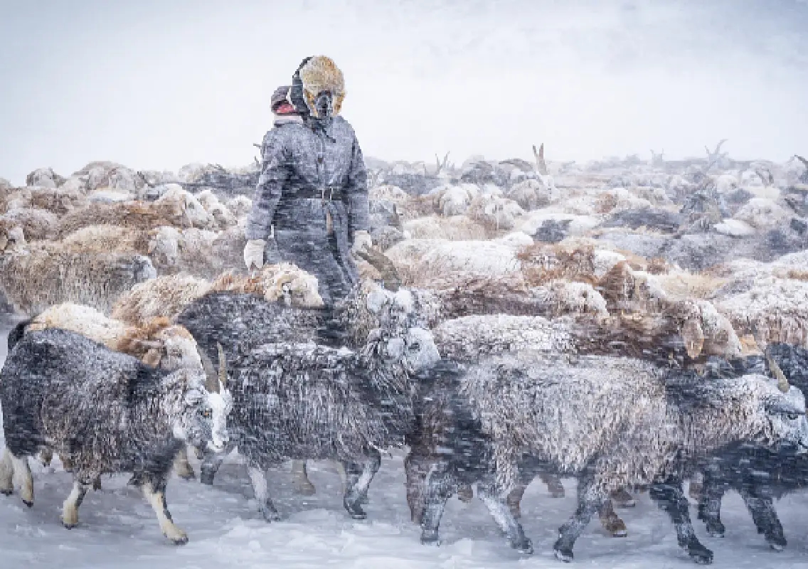 Mongolia records 13 hypothermia deaths amid severe January cold - News Karnataka
