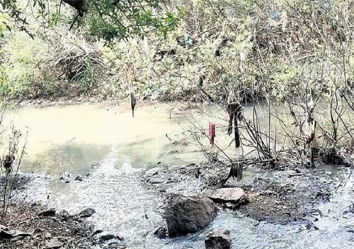 NGT seeks report to stop sewage discharge into Souparnika river - News Karnataka