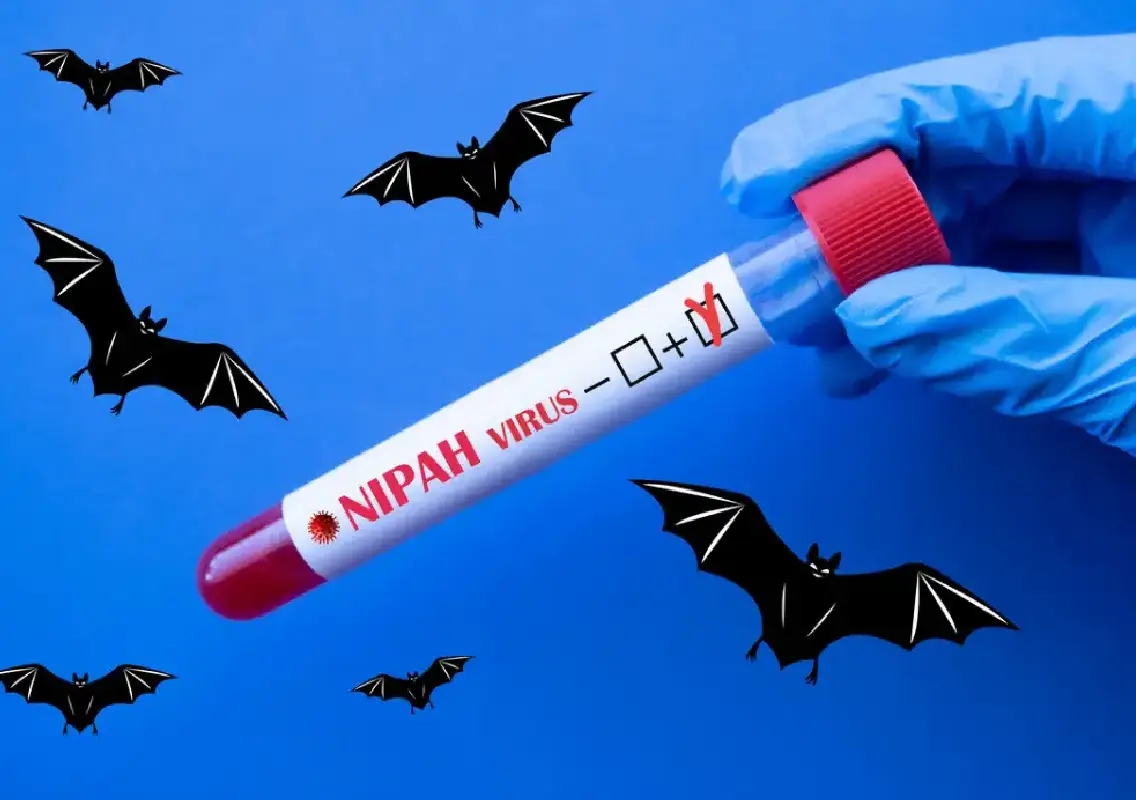 Nipah alert prompts airport screening measures across Asia - News Karnataka