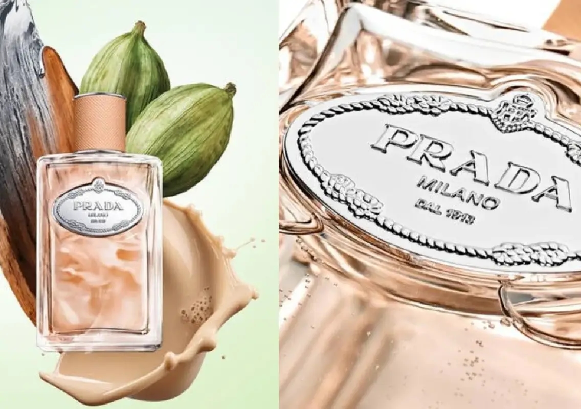 Prada launches Infusion de Santal Chai as ‘cozy luxury’ fragrance - News Karnataka
