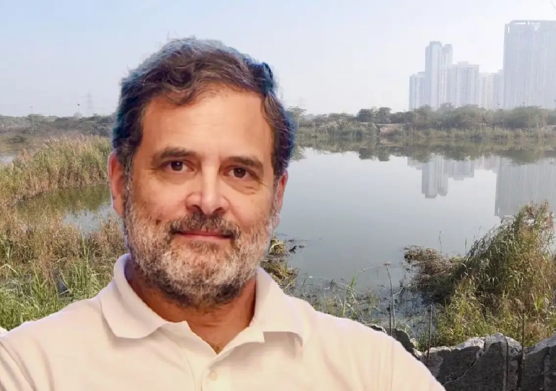 Rahul Gandhi invokes ‘TINA’ after Noida techie’s death, targets accountability - News Karnataka