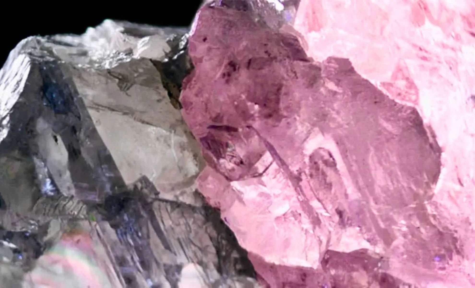 Rare pink and colourless diamond reveals Earth’s deep secrets - News Karnataka
