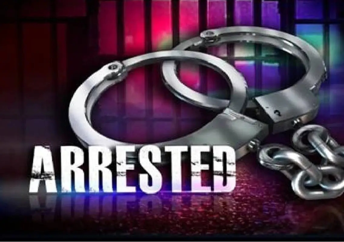 Russian man arrested for killing live-in partner in Goa flat - News Karnataka