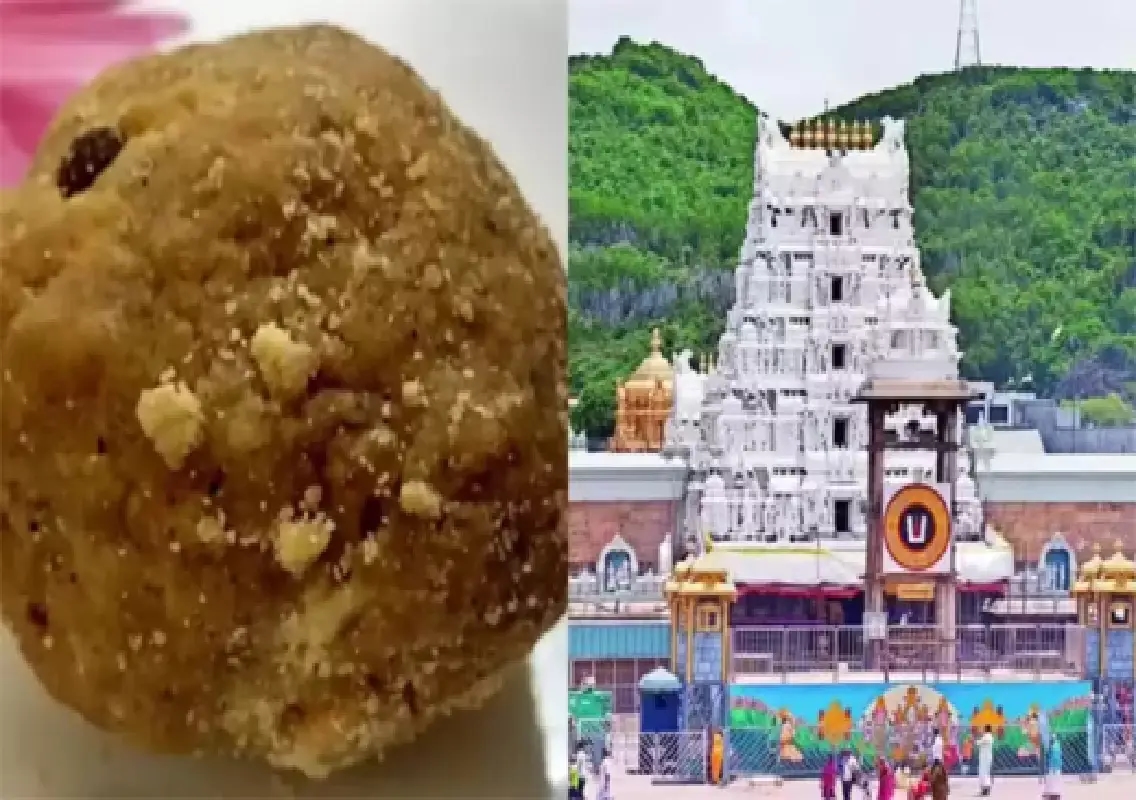 SIT files charge sheet in Tirumala laddus ghee adulteration case - News Karnataka