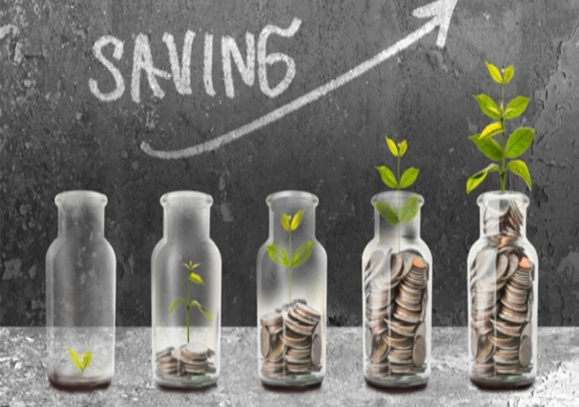 How Savings Plans Help You Achieve Stable Returns And Financial Discipline - News Karnataka