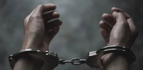 Snatchers hiding in jungle hut guarded by dogs arrested in Chandigarh - News Karnataka