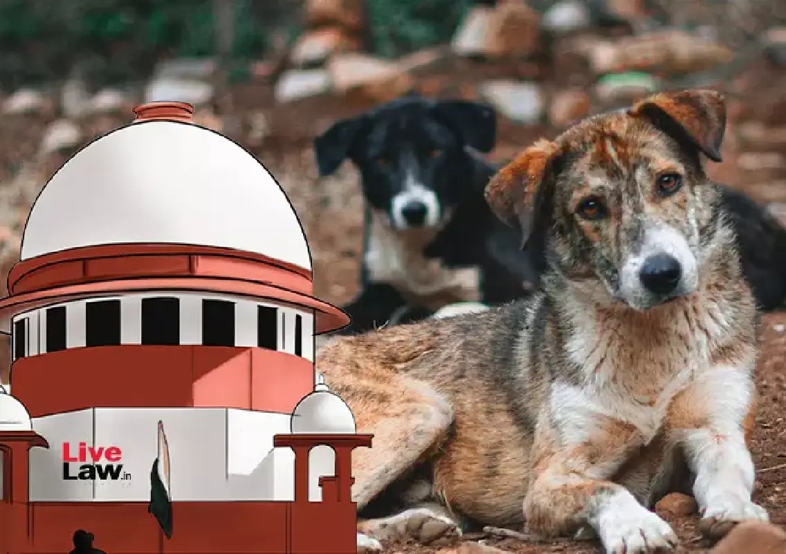Stray dogs case: parents allege hospital negligence before Supreme Court - News Karnataka