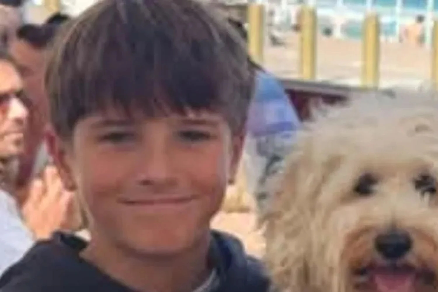 Sydney tragedy: 12-year-old boy dies after shark attack while swimming - News Karnataka