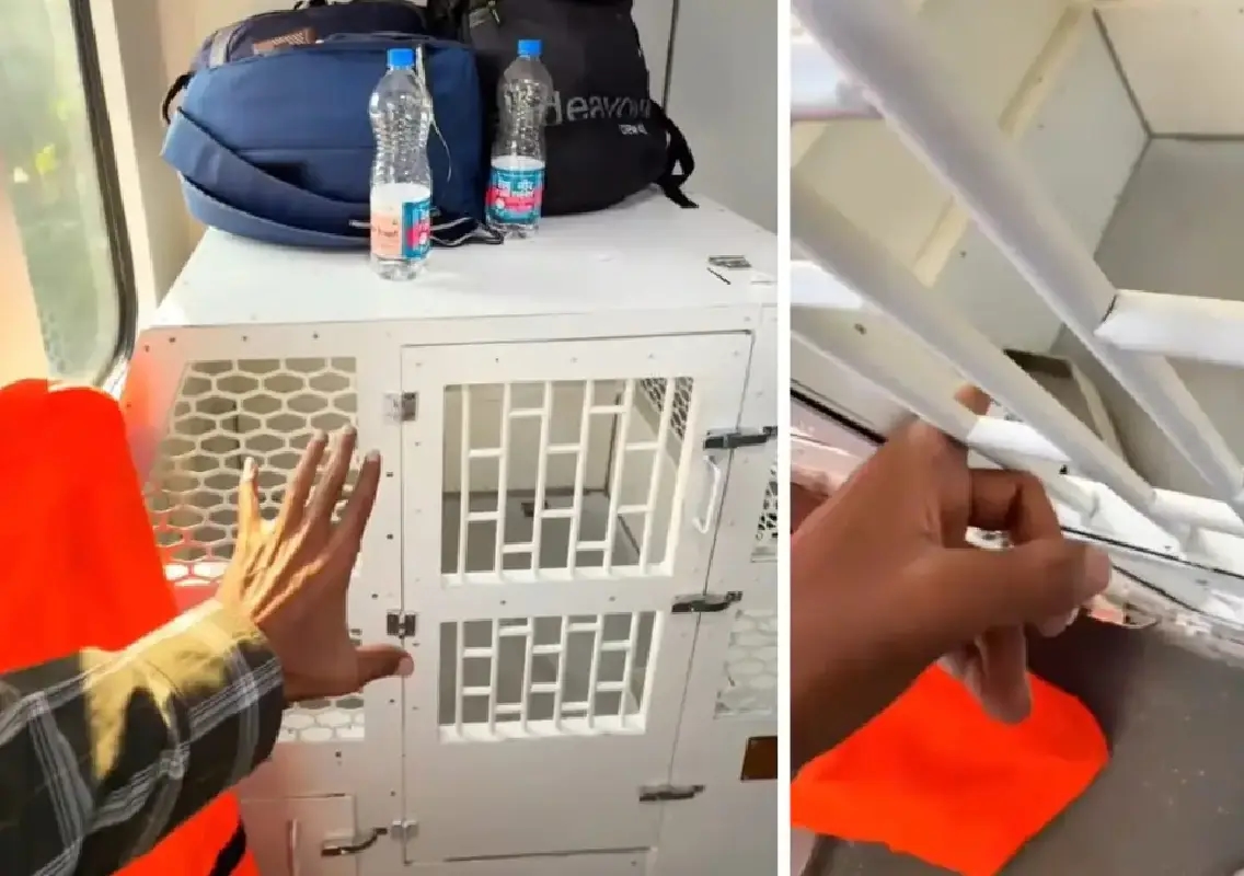 Vande Bharat Sleeper’s pet box sparks praise, concern and debate online - News Karnataka