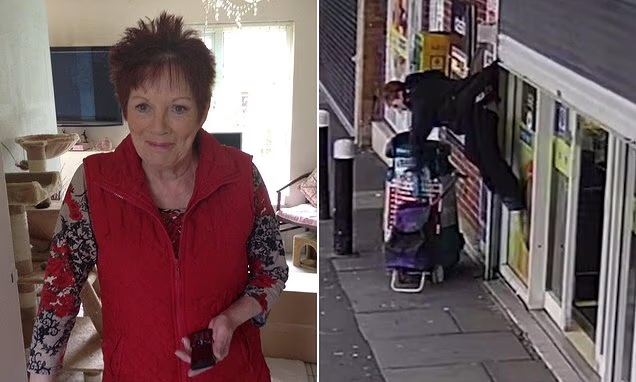 Viral CCTV star Anne Hughes dies, remembered for joy she brought online - News Karnataka