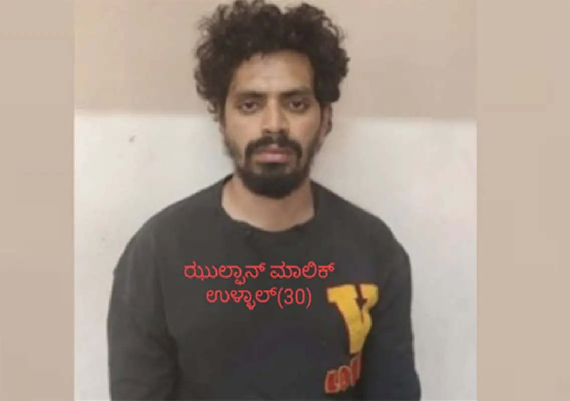 Vittla police arrest Ullal man in cattle theft case - News Karnataka