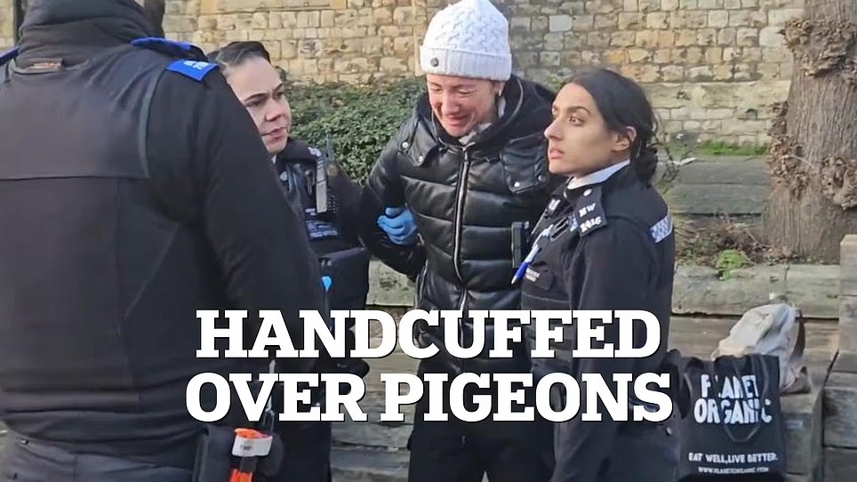 Woman handcuffed and fined £100 for feeding pigeons in London - News Karnataka