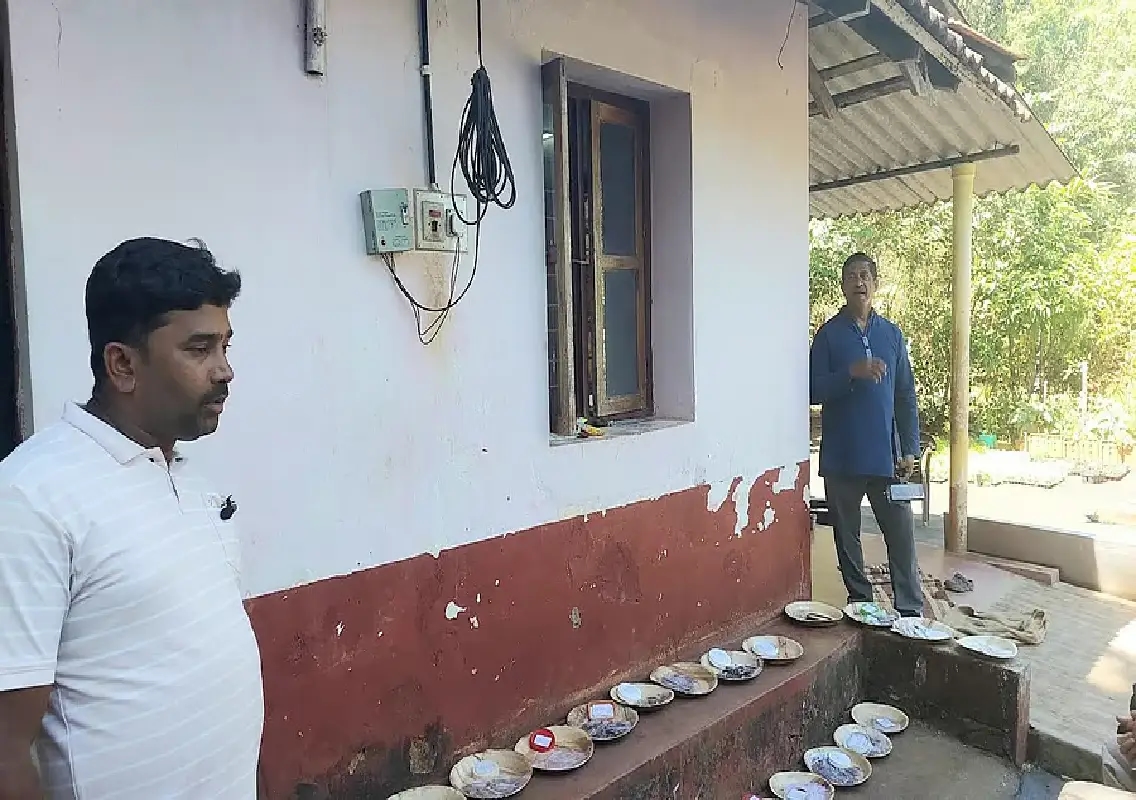 YouTube channel inspires thousands to take up organic kitchen gardening - News Karnataka