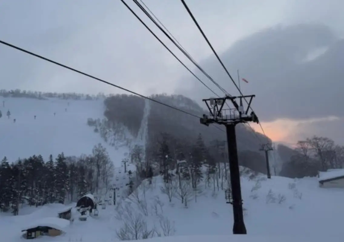 Australian woman dies after getting trapped in ski lift in Japan - News Karnataka