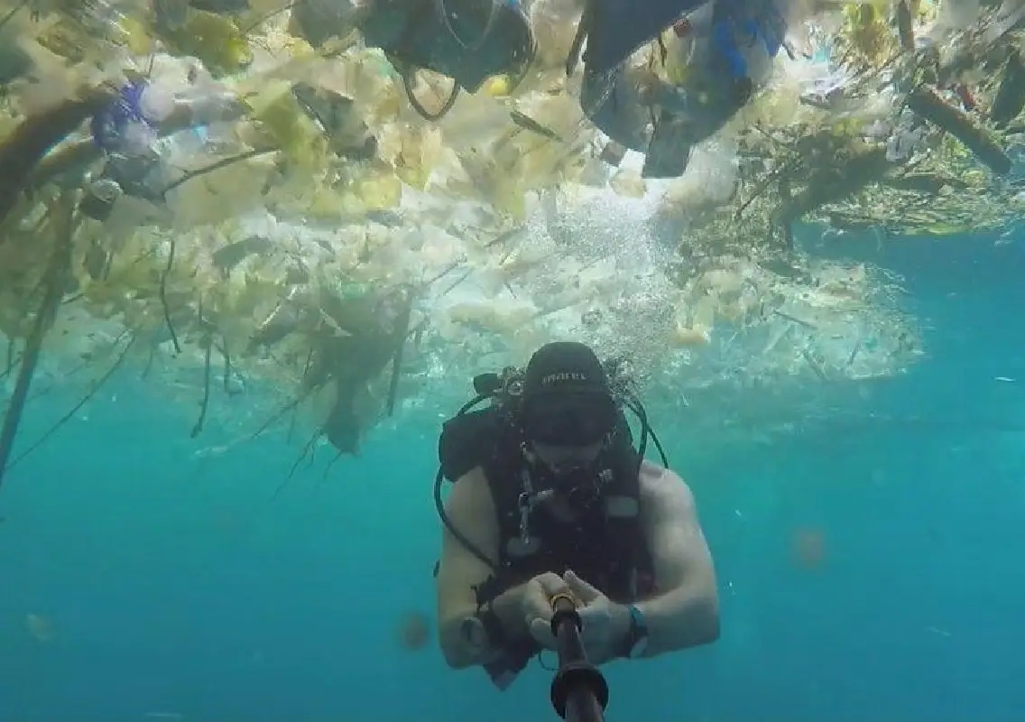 Diver’s lake cleanup haul sparks outrage over plastic waste - News Karnataka