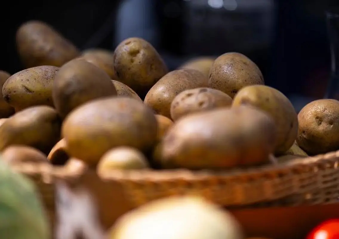 Germany’s potato glut sparks free giveaways and a citywide ‘spud party’ - News Karnataka