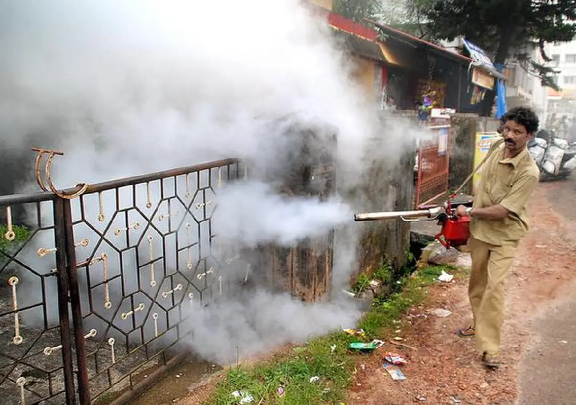 Malaria cases drop sharply in Dakshina Kannada - News Karnataka