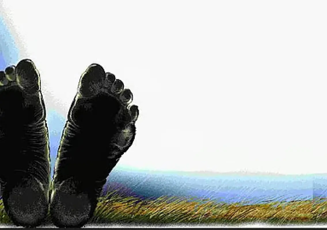 Man sets himself ablaze over ₹37 lakh dispute, dies of burns - News Karnataka
