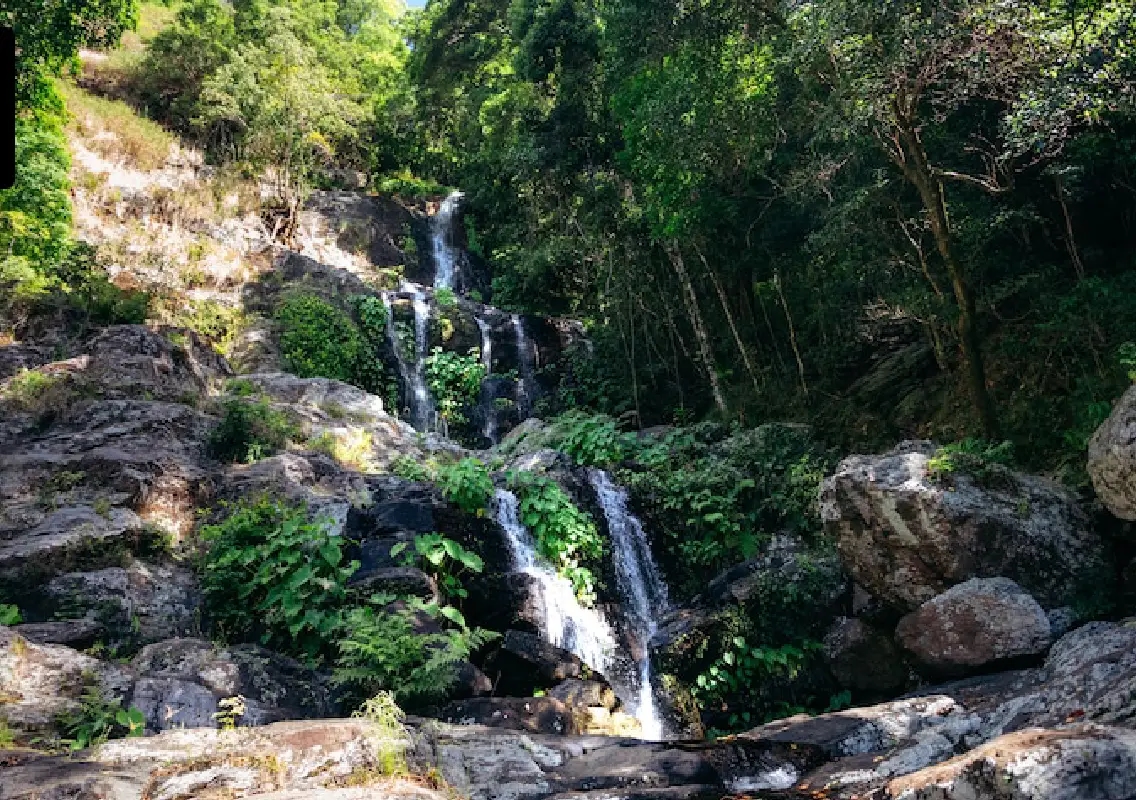 Man slips from waterfall rock, dies during outing - News Karnataka
