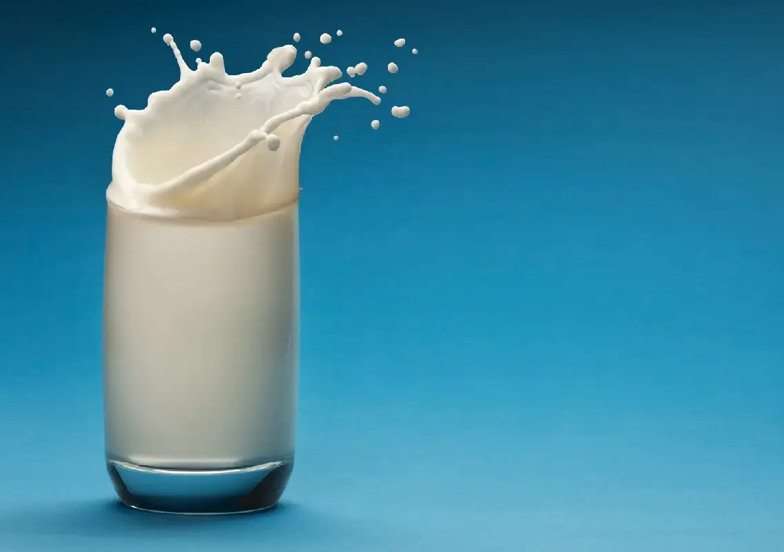 Milk quality concerns spark fresh food safety debate - News Karnataka