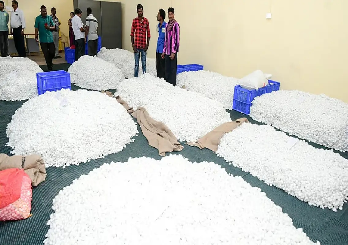 Mysuru to get Rs 20 crore hi-tech cocoon market near Bandipalya - News Karnataka