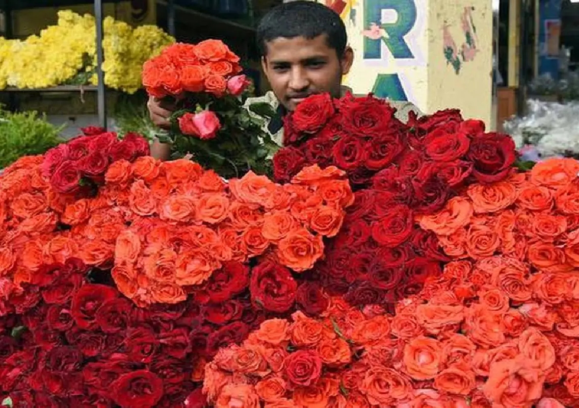 Rose sales surge in Bengaluru ahead of Valentine’s Day - News Karnataka