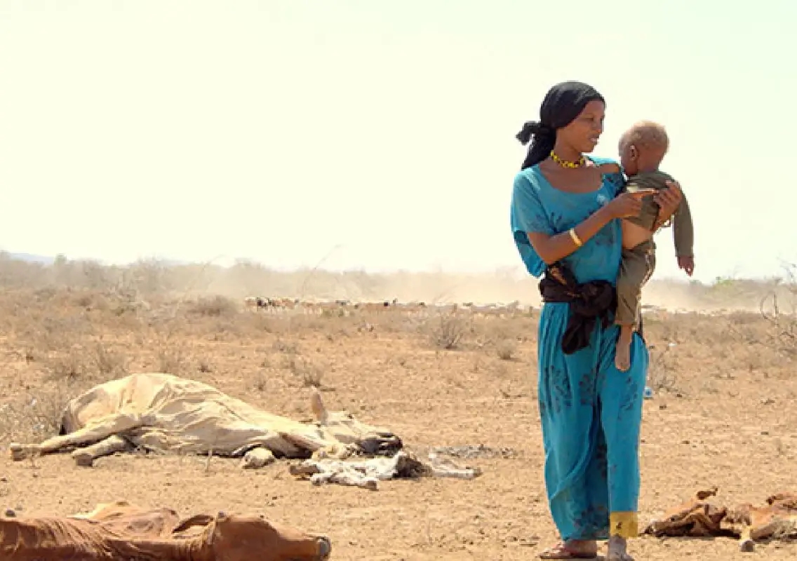 Severe drought leaves over 2 million facing hunger in Kenya - News Karnataka