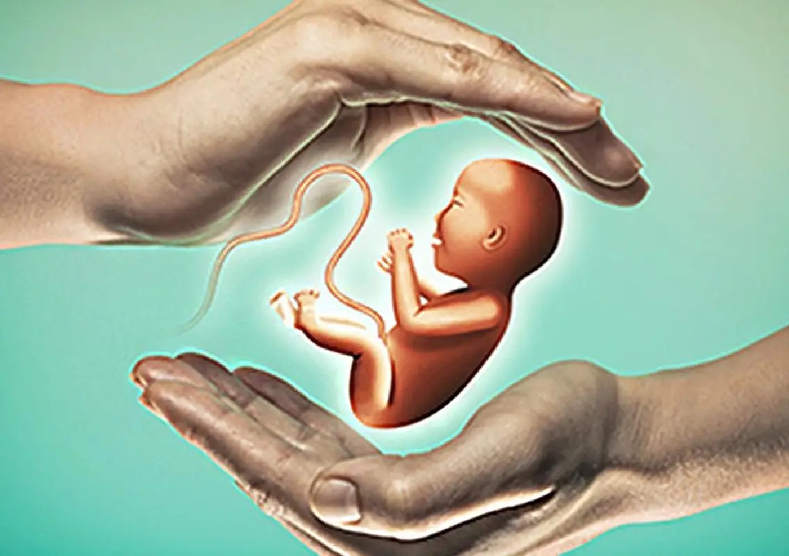 Teenage pregnancies decline sharply in district - News Karnataka