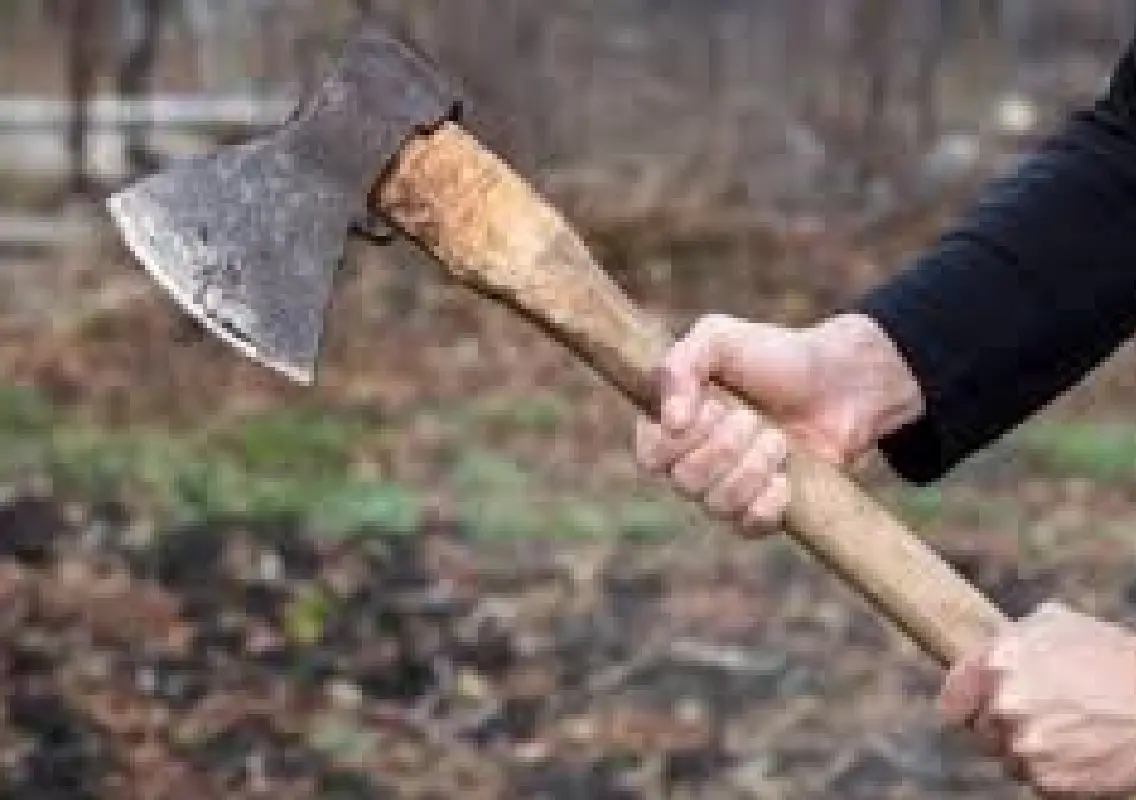 Three of family killed in axe attack, neighbour held - News Karnataka