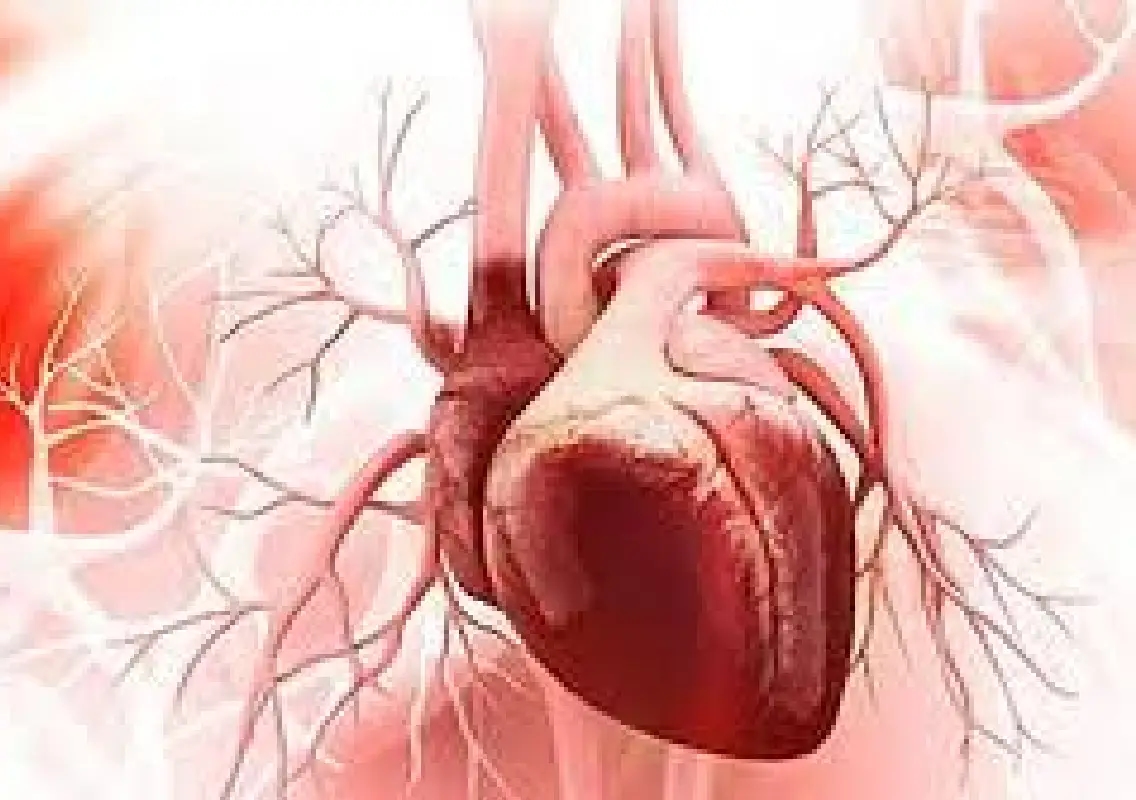 Toddler dies after damaged donor heart sparks probe in Italy - News Karnataka