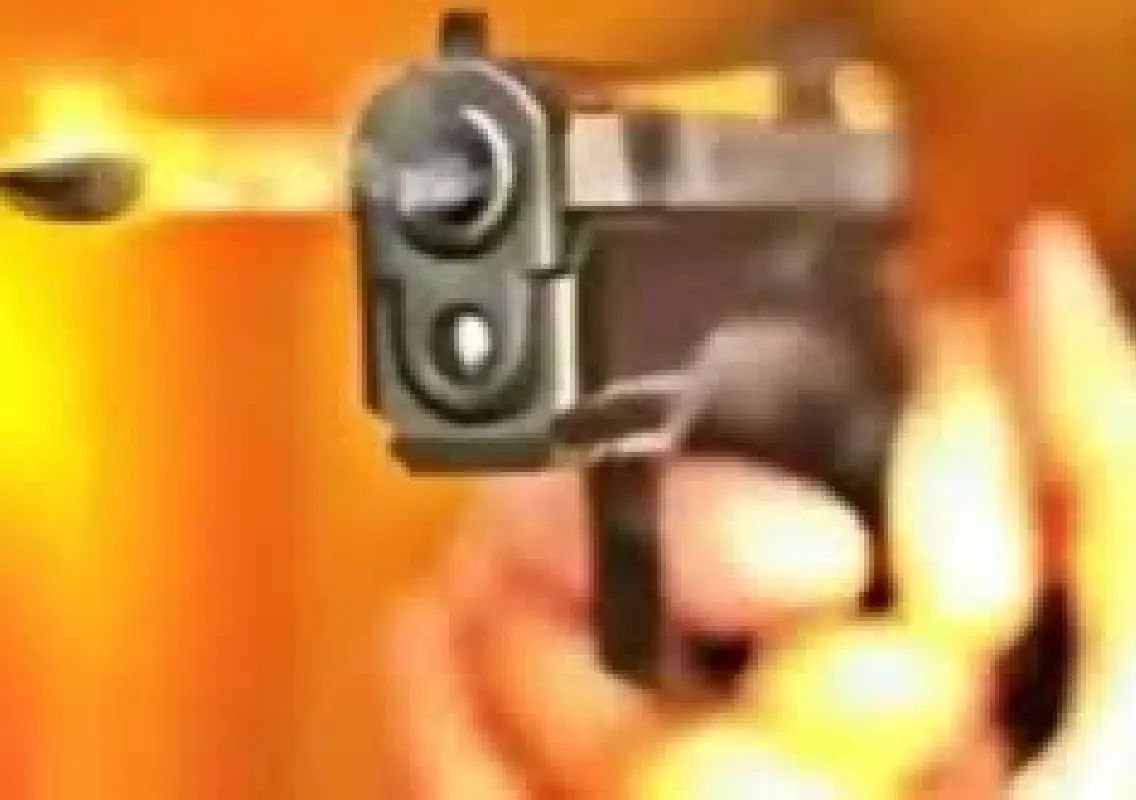 Two brothers shot dead at Patna wedding over land row - News Karnataka