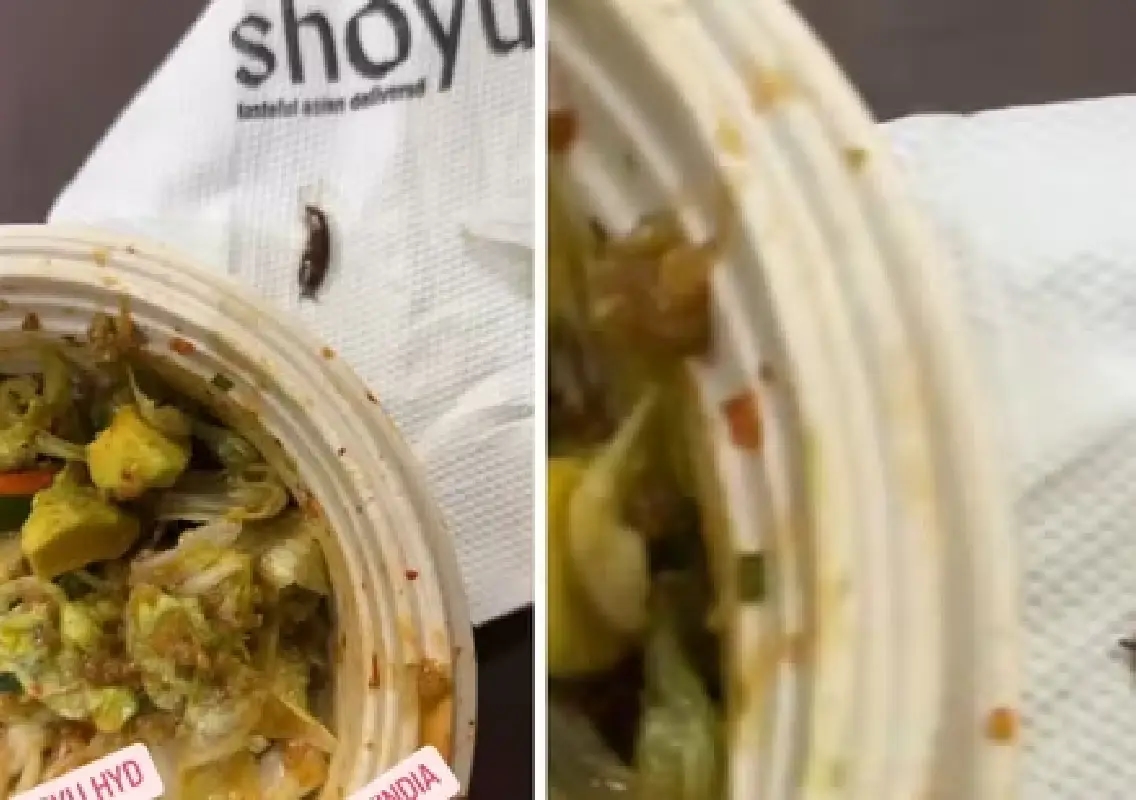 Woman finds live snail in salad, witty letter leaves internet amused - News Karnataka