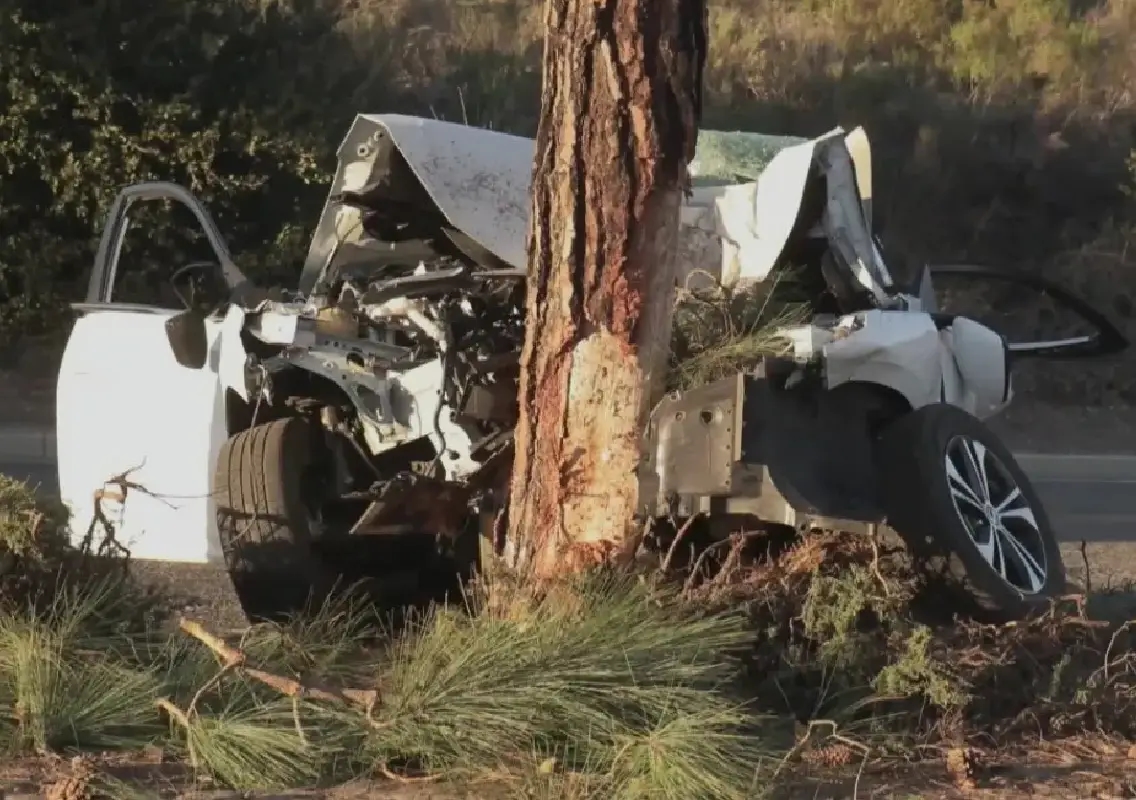 Young man killed as speeding car crashes into tree - News Karnataka