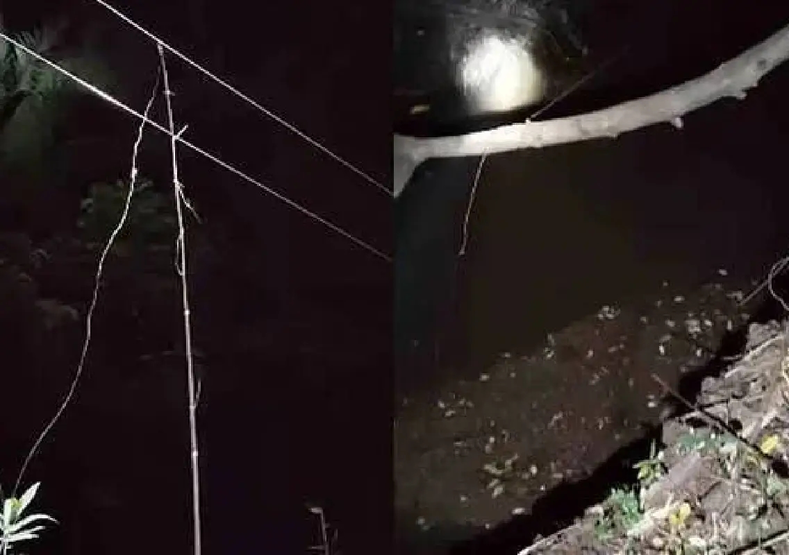Youth electrocuted by illegal wire set to trap wild boars - News Karnataka