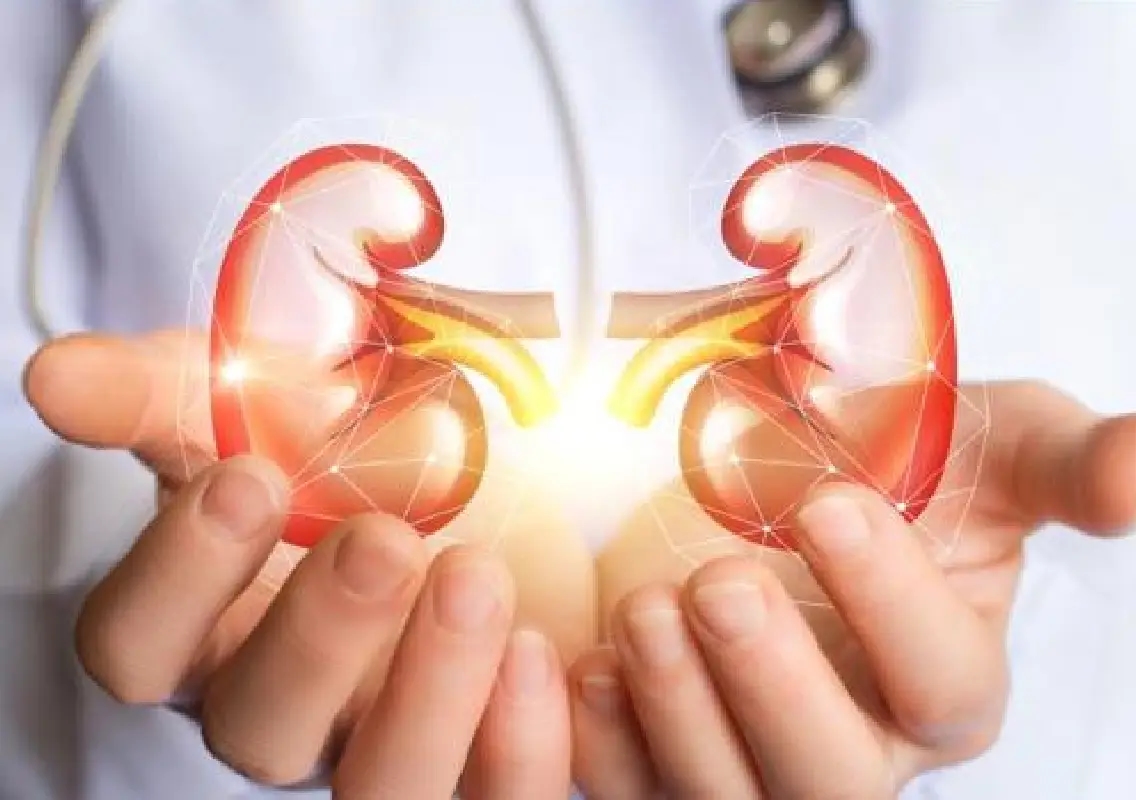 10-year-old gets new life after rare infant kidney transplant - News Karnataka